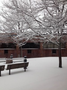 The Penn Courtyard in the winter of 2013